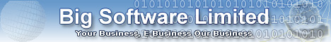 Big Software Ltd